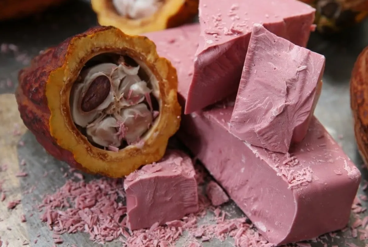 Best Callebaut Chocolade Callets Ruby 2,5 kg (RB1)