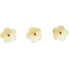 Hot Callebaut Marsepeinen Decoratie Bloemen Wit 200st.**