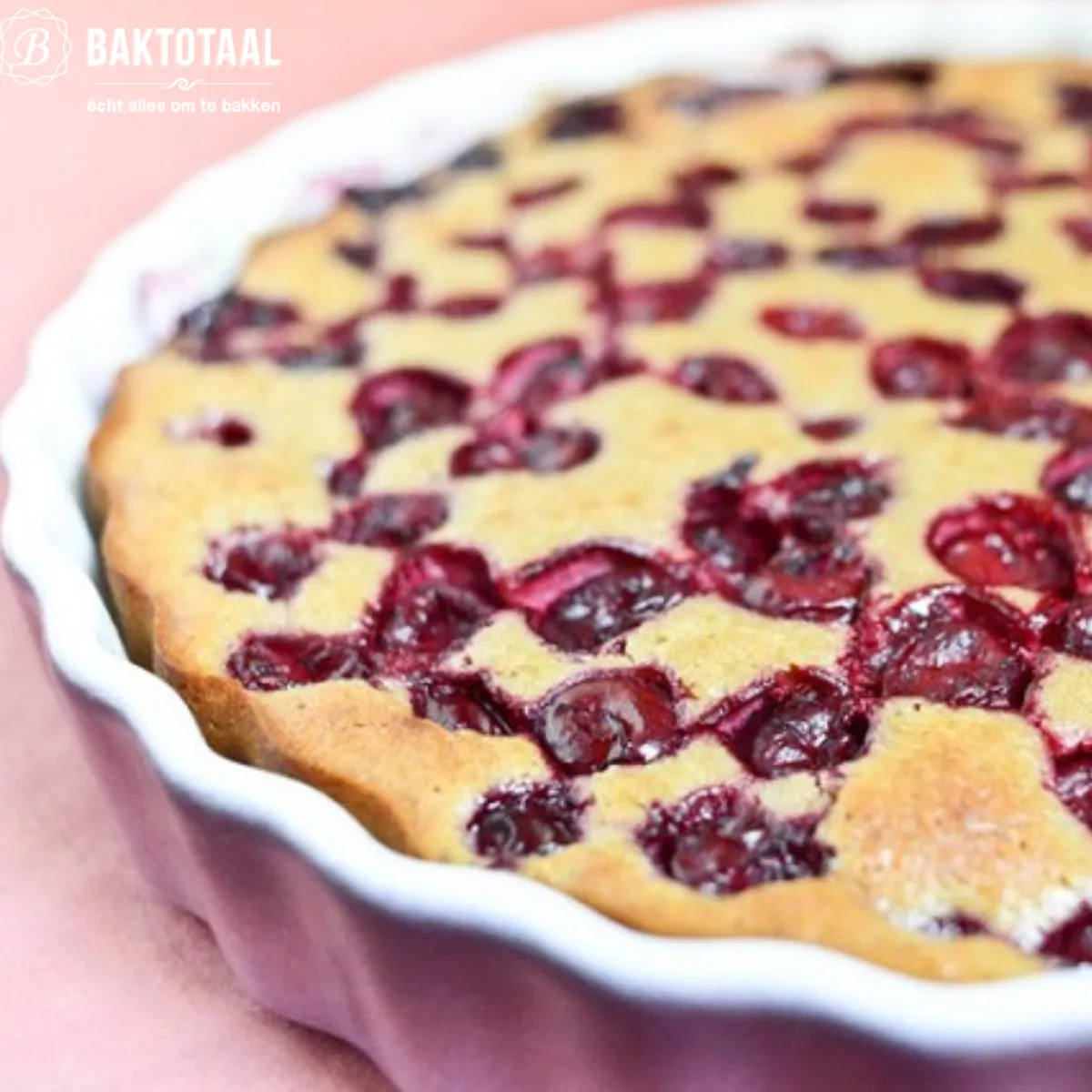 Discount Molen de Hoop Vlaai en Taartfruit Kersen 500 gr.