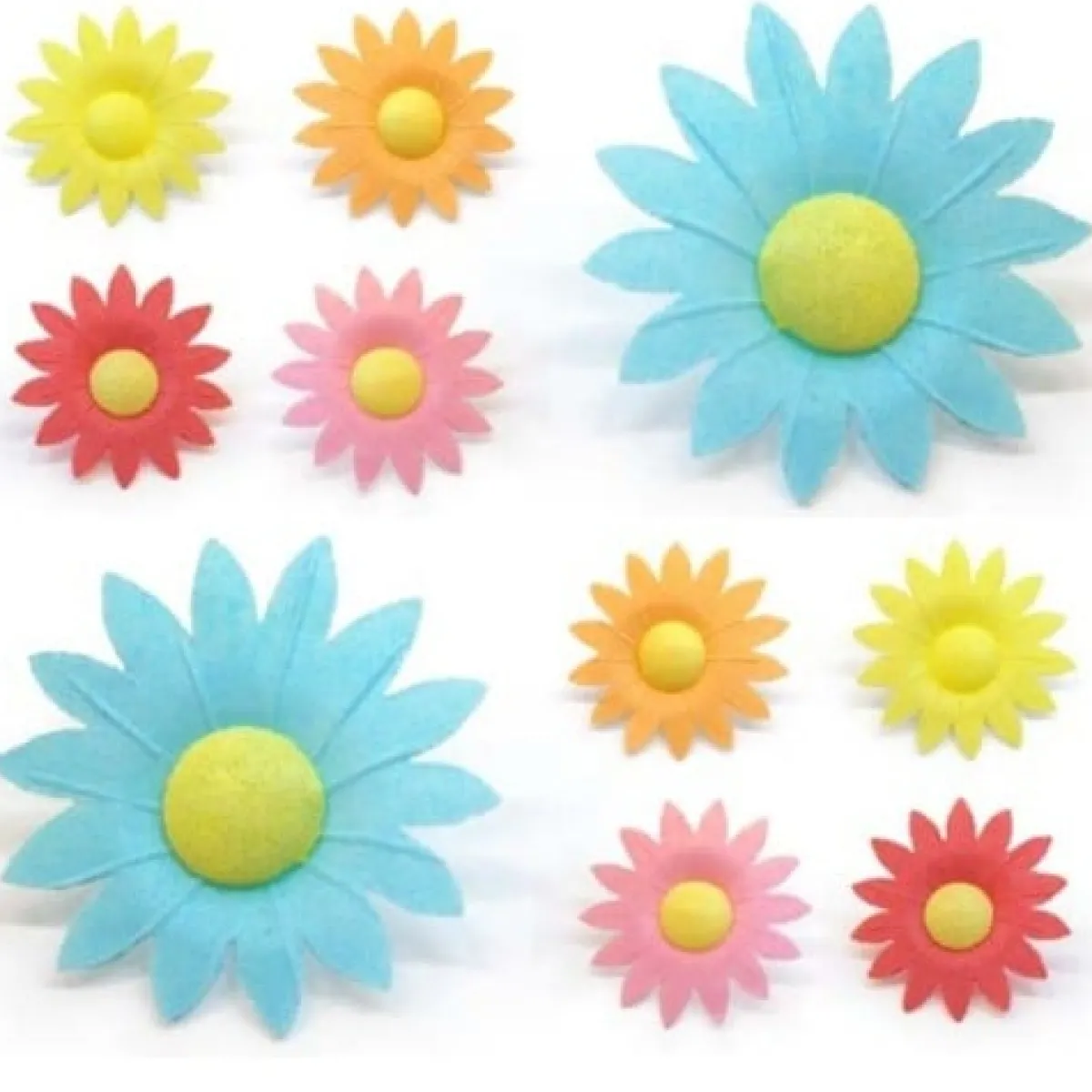Best Overig Ouwelbloemen Margrieten 5 kleuren ass., 100 st.