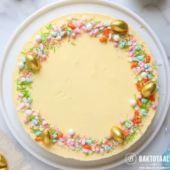 Discount Patisse Springvorm met Lekvrije Bodem Profi Ø24cm