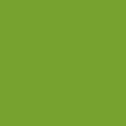 Best PME Natuurlijke Kleurstof Groen 25g