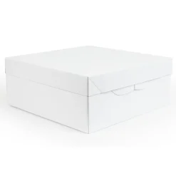 Online PME Taartdoos 22,5x22,5x15cm