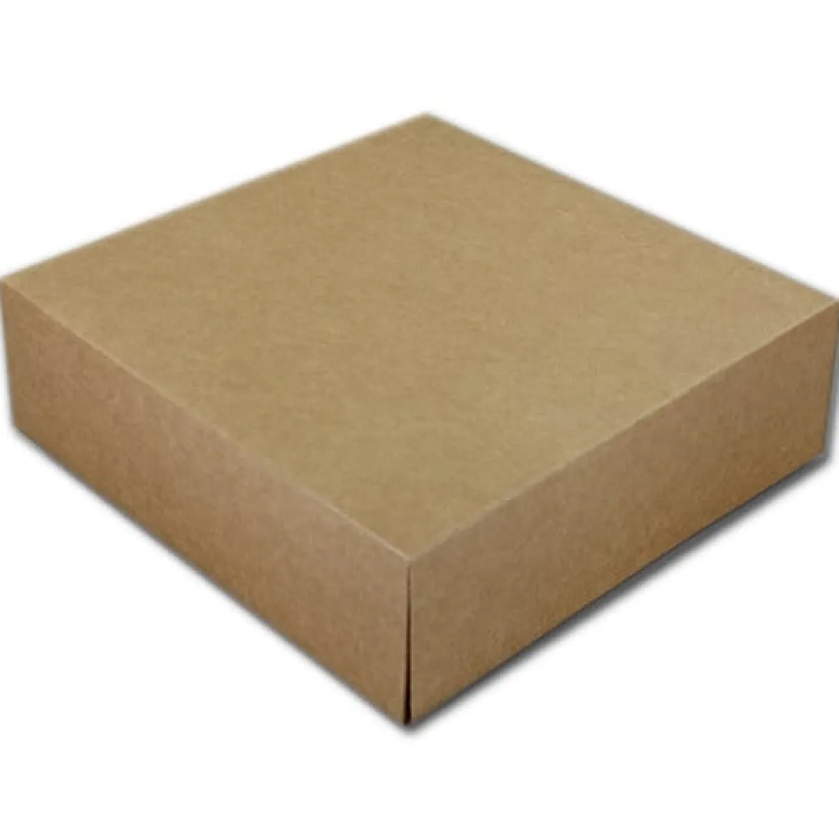 Sale BrandNewCake Taartdoos 25x25x8cm. Kraft 3st