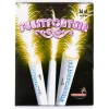 Best Overig Vuurwerk Feestfontein met Voetje Zilver 45sec. 36st.